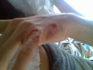 Photobucket - Video and Image Hosting