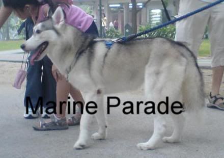 Photobucket - Video and Image Hosting