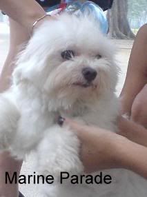 Photobucket - Video and Image Hosting