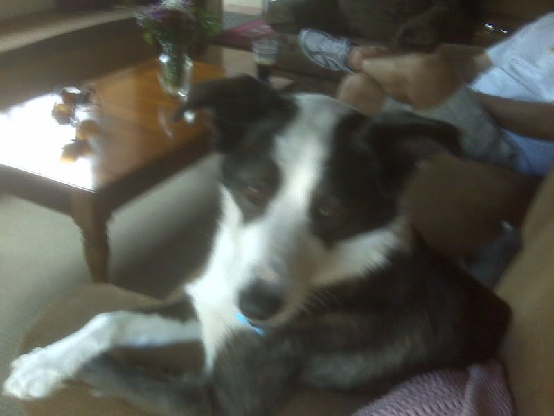 IMG00418.jpg