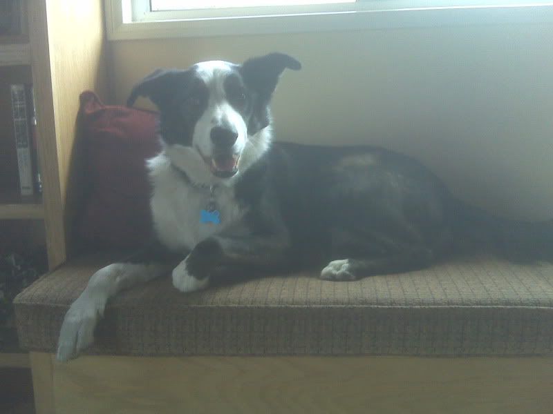 IMG00420.jpg