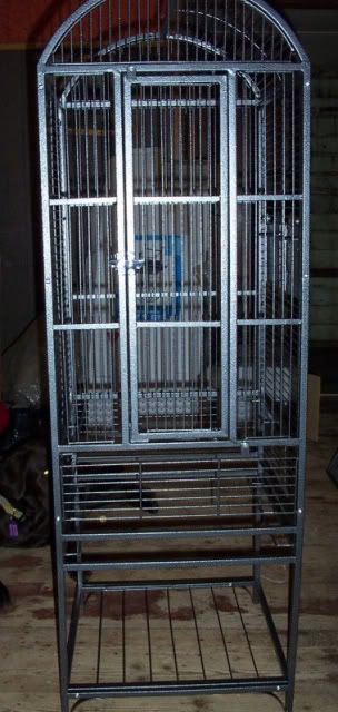 dcp_3946-1.jpg