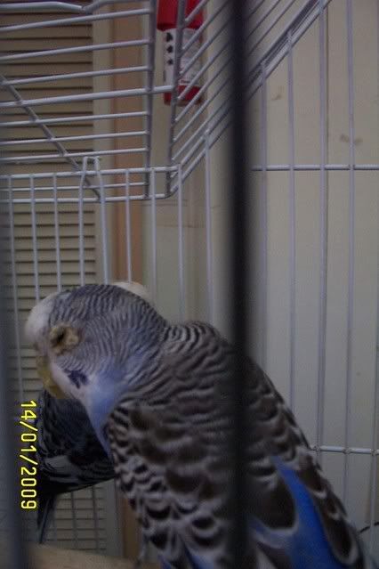 dcp_4343.jpg