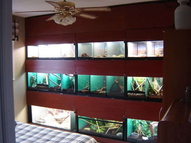 DSC03796.jpg