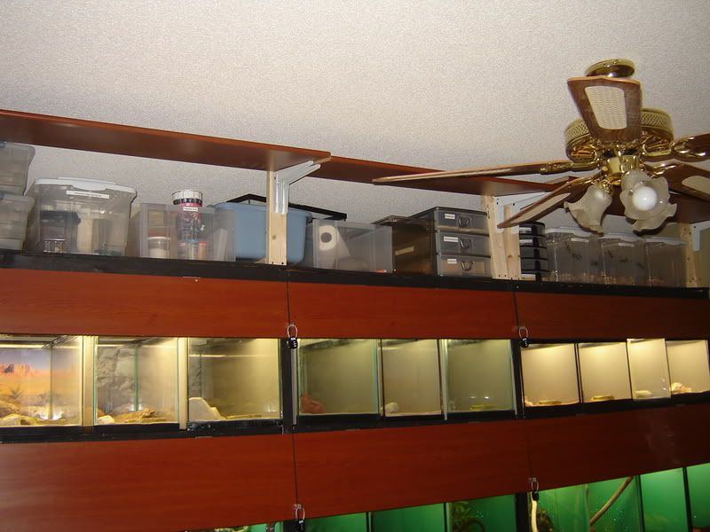 DSC03797.jpg