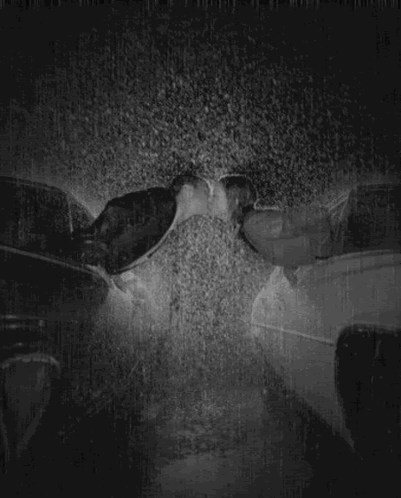 romantic couple kissing in the rain. kissing in the rain