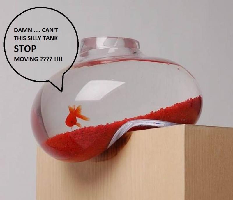 fish-tank-decoration-ideas-for-goldfish_