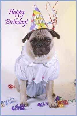 Birthday Pug