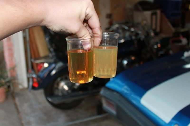 Cloudy Engine Oil? (Fresh) Honda Shadow Forums Shadow Motorcycle Forum