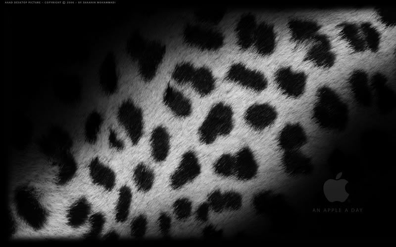leopard_desktop.jpg