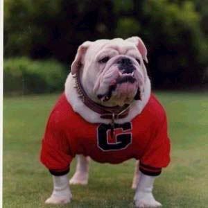 dead uga