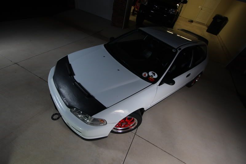 IMAGE: http://i97.photobucket.com/albums/l237/H2ouup2/IMG_1552.jpg