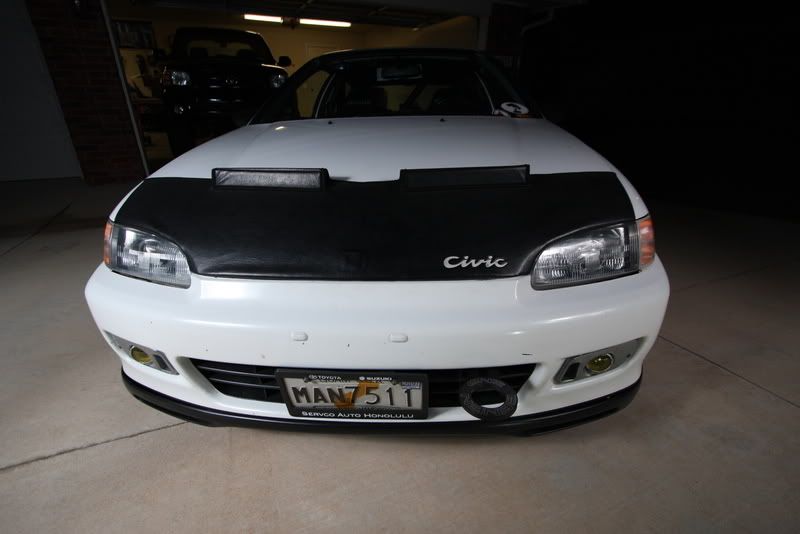 IMAGE: http://i97.photobucket.com/albums/l237/H2ouup2/IMG_1583.jpg