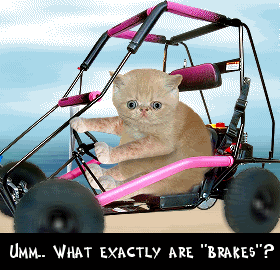 gocart.gif