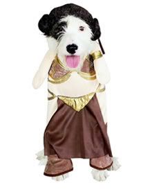 dogslaveleia.jpg