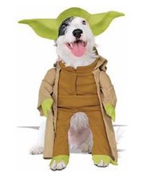 dogyoda.jpg