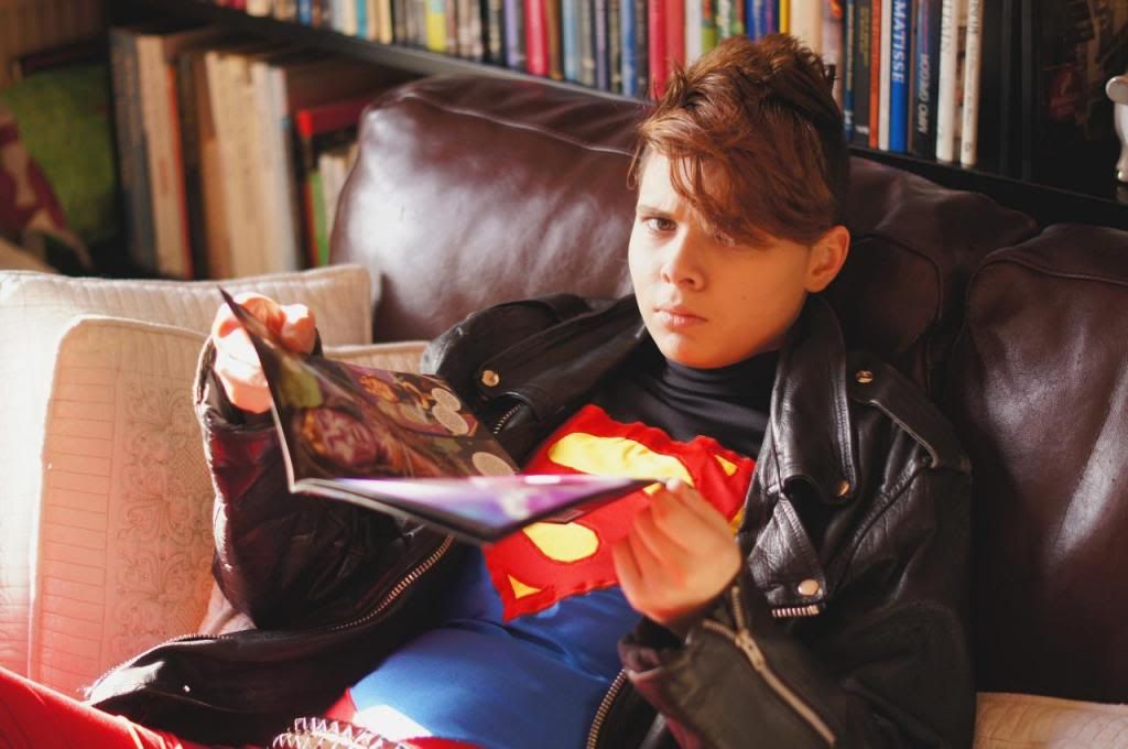 transsexual beauty queens torrent