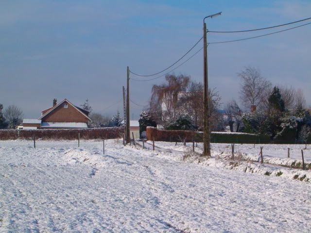002-1.jpg Sneeuwtapijt op 25/03/2008 picture by louisa_016