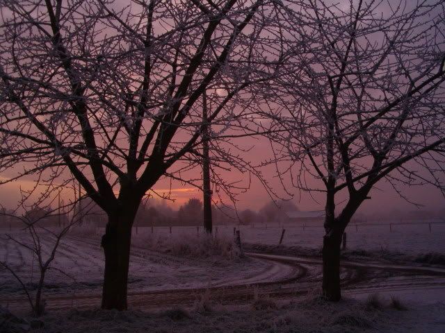 018.jpg picture by louisa_016