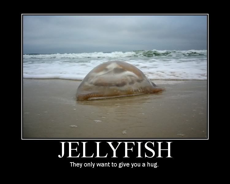 Jellyfish Motivationalposter