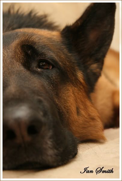 IMAGE: http://i97.photobucket.com/albums/l239/nightstalker_1967/burtweb.jpg