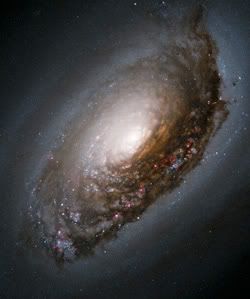 NASA_Hubble_Black_Hole_M64.jpg