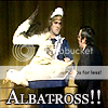 albatross.png