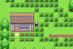 [PokeCommunity.com] Pokemon Ripple
