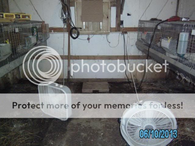 Evaporative Cooler Addition. | Rabbit Talk - Meat Rabbit & Farming Forum